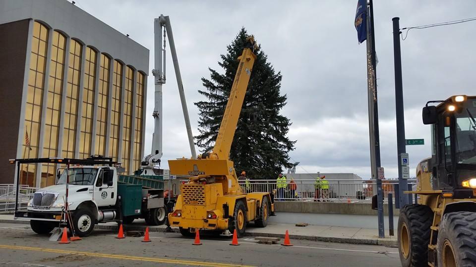 Official Christmas Tree is up in Jamestown Chautauqua Today