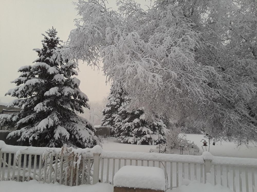 Lake Effect Dumps Foot Or More Snowfall On Parts Of Western Southern ...