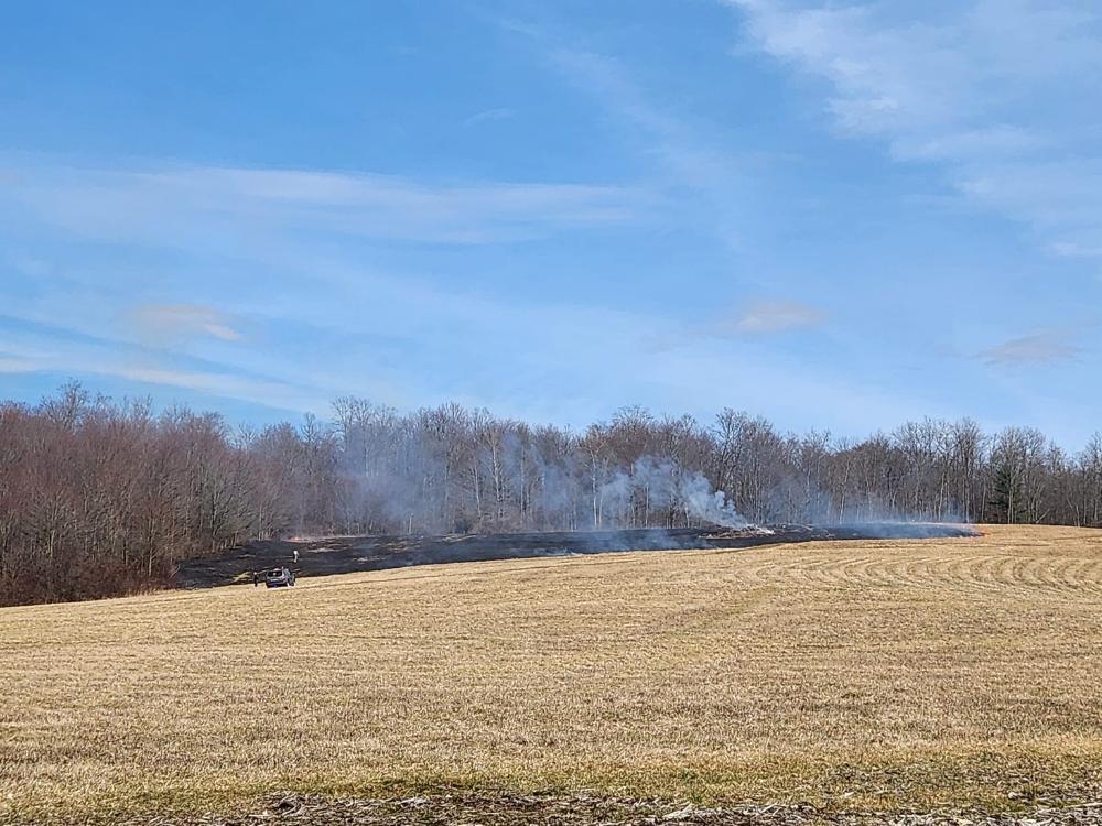 High Winds Spark Grass Fire Near Falconer Chautauqua Today