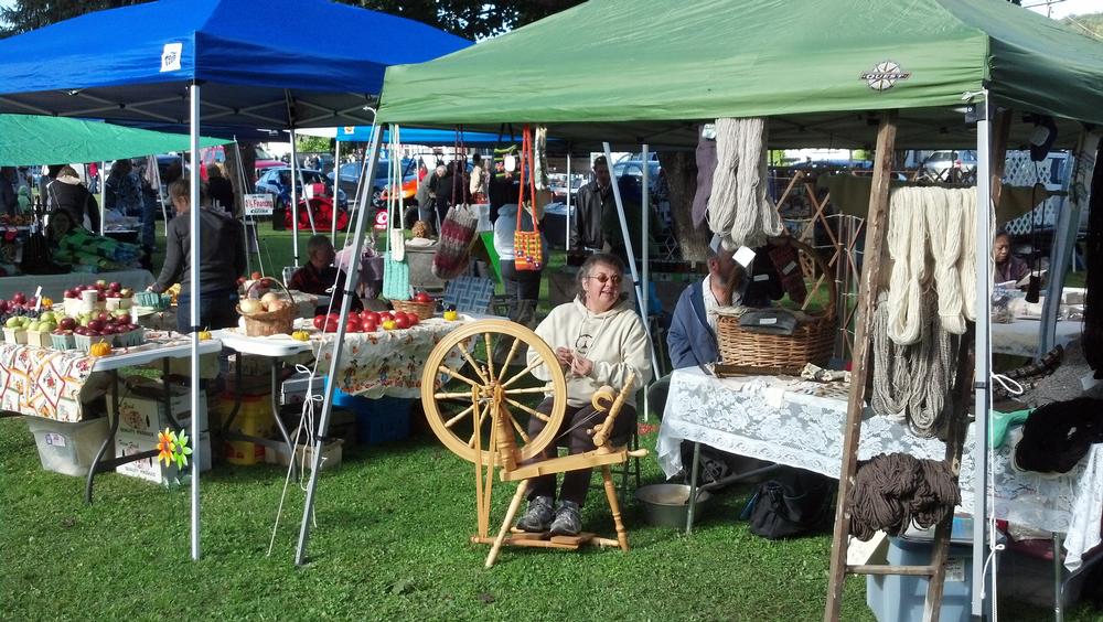 Photos from the annual History Fair in Sinclairville Chautauqua Today